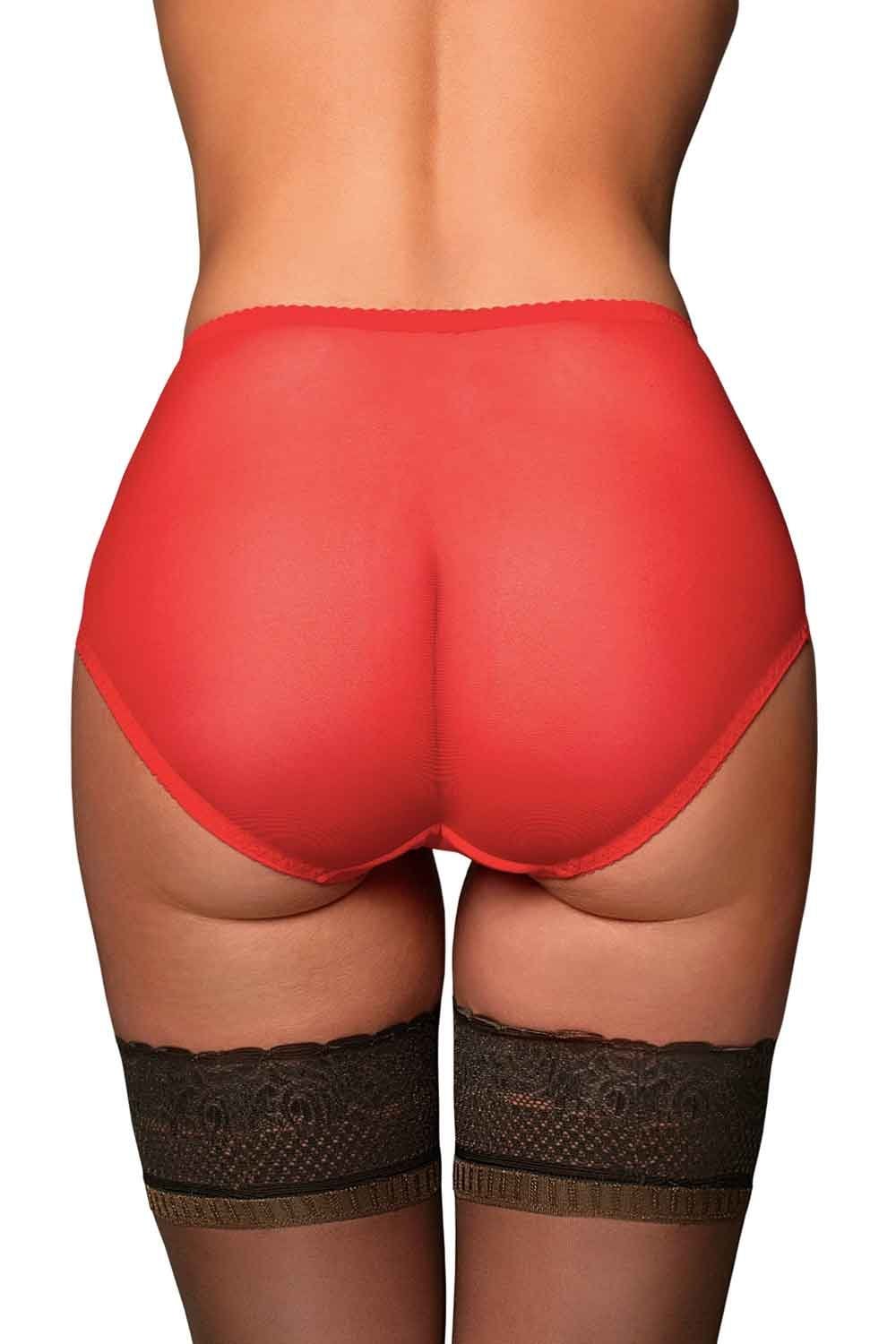 Red sheer mesh knickers  worn by a person on a white background